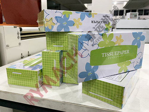 Japanese client- Single paper box packaging